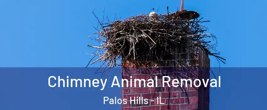  Chimney Animal Removal Palos Hills - IL