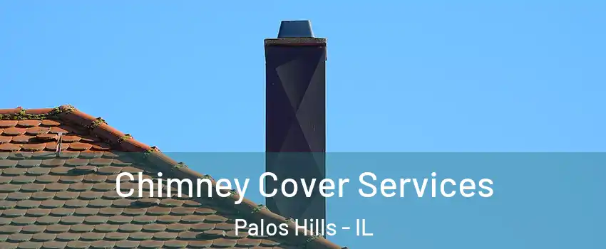  Chimney Cover Services Palos Hills - IL