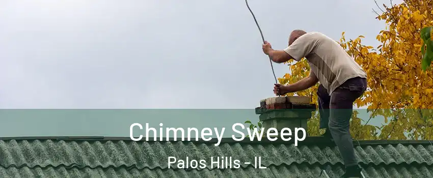  Chimney Sweep Palos Hills - IL