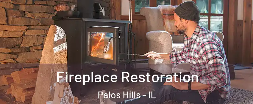  Fireplace Restoration Palos Hills - IL