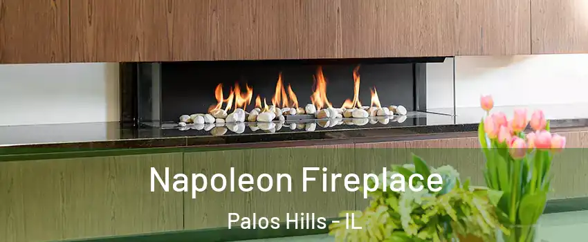  Napoleon Fireplace Palos Hills - IL