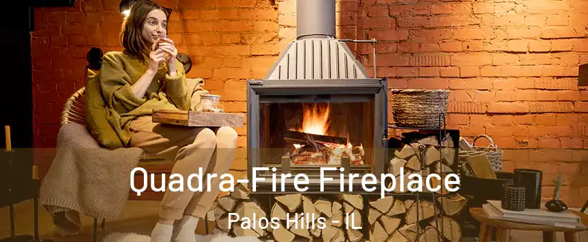  Quadra-Fire Fireplace Palos Hills - IL